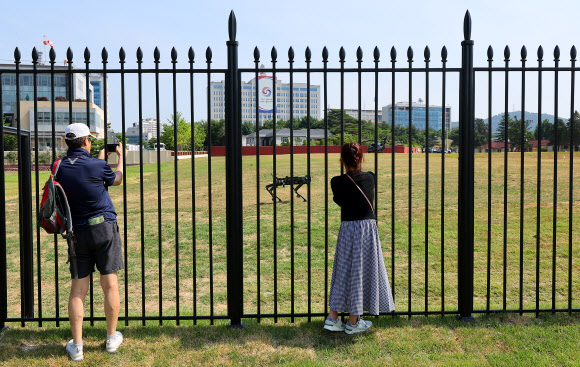 용산공원 개방 후 첫 주말, 경비로봇견 구경하는 시민들