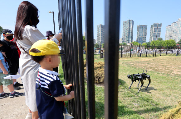 용산공원 개방 후 첫 주말, 경비로봇견 구경하는 시민들