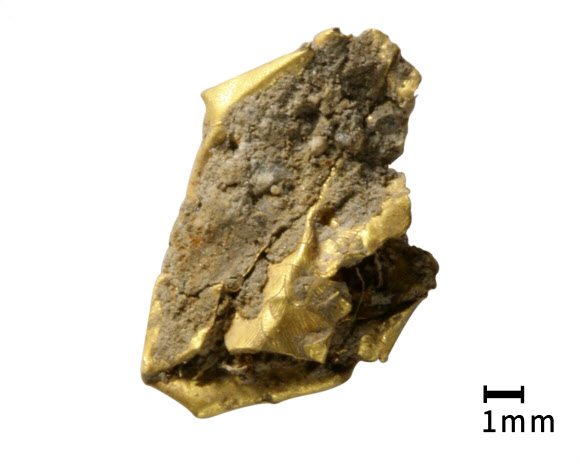 금박에 머리카락보다 가늘게 그린 화조도…8세기 신라 유물 발견