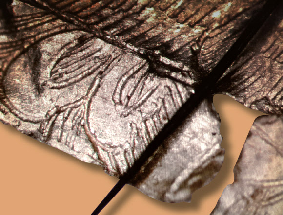 금박에 머리카락보다 가늘게 그린 화조도…8세기 신라 유물 발견