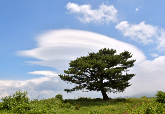 23일 제주시 애월읍 광령리의 한 목장 위 하늘에 렌즈구름이 떠 눈길을 끌고 있다. 2022.6.23  연합뉴스