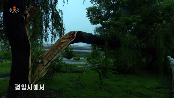 북한 기상수문국 실장 독고혁철은 26일 조선중앙TV에 출연해 전날 평양에 쏟아진 폭우로 인한 피해 상황을 설명하고 철저한 대비를 주문했다. 중앙TV가 공개한 사진을 보면 강한 바람에 가로수가 부러져있다. 2022.6.26  조선중앙TV 화면