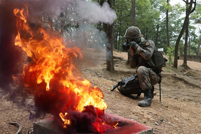 6일 오전 대구 육군 50사단 신병교육대대 각개전투 교장에서 훈련병들이 각개전투 훈련을 하고 있다.  이들은 코로나19 사태로 이후 2년 5개월 만인 지난달 7일 재개된 가족동반 입영 행사를 통해 입대한 강철 160기 훈련병들이다. 2022.7.6 뉴스1
