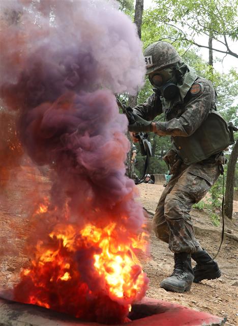 6일 오전 대구 육군 50사단 신병교육대대 각개전투 교장에서 훈련병들이 각개전투 훈련을 하고 있다.  이들은 코로나19 사태로 이후 2년 5개월 만인 지난달 7일 재개된 가족동반 입영 행사를 통해 입대한 강철 160기 훈련병들이다. 2022.7.6 뉴스1