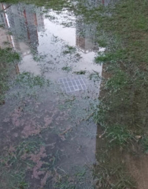 하수구가 막혀 물바다가 된 잔디밭의 모습. 온라인 커뮤니티 캡처