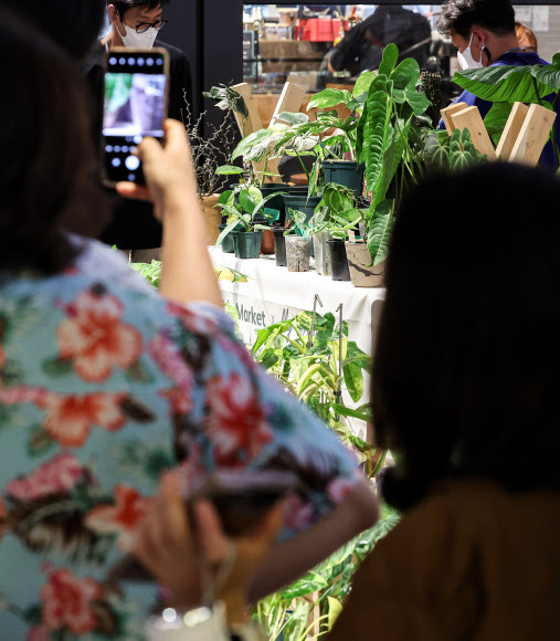 희귀 식물 잘 키우고 ‘짭짤한 수익’도 낼 수 있어요