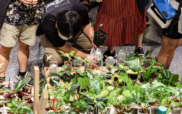 식물로 하는 재테크 열기