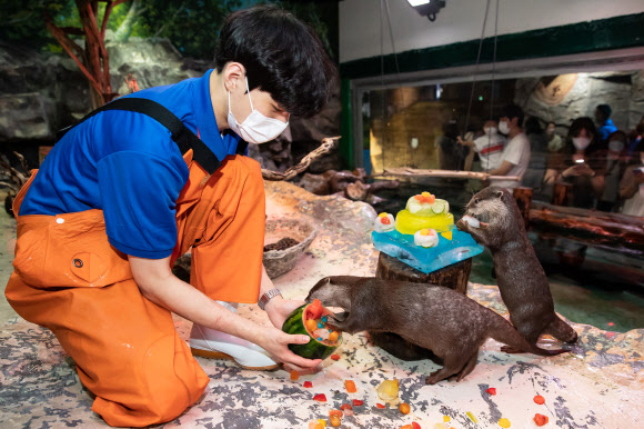 롯데월드 아쿠아리움, 초복 맞이 해양 동물들에게 특식 제공