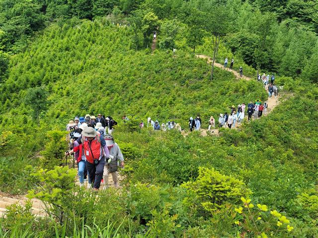 산림청은 산림생태적 또는 역사·문화적 가치가 높은 숲길 6곳을 국가숲길로 지정했다. 탐방객들이 국가숲길인 DMZ 펀치볼 둘레길을 걷고 있다.