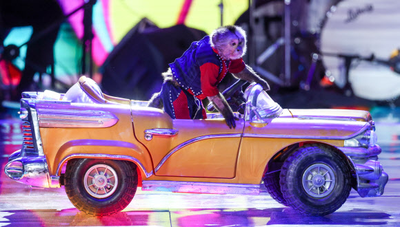 VITEBSK, BELARUS - JULY 13, 2022: A monkey performs during the opening of the 31st Slavianski Bazaar in Vitebsk International Festival of Arts held on July 13-18. Vyacheslav Prokofyev/TASS/2022-07-14 16:49:47/ <연합뉴스