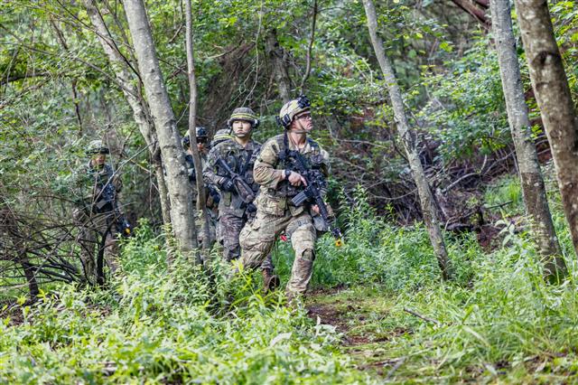 육군은 오는 21일까지 강원도 인제 육군과학화전투훈련단(KCTC)에서  ‘KCTC 여단급 쌍방훈련’을 진행한다고 18일 밝혔다.  이 훈련은 1개 여단이 전문대항군 부대와 교전했던 기존 훈련과 달리 1회 훈련에 2개 여단을 참가시켜 더 많은 부대가 실전에 가장 가깝단 평가를 받는 KCTC 훈련을 경험토록 하자는 취지에서 도입됐다. 훈련에 참가한 한미 장병들이 수색정찰을 하고 있다.  2022.7.18 육군 제공