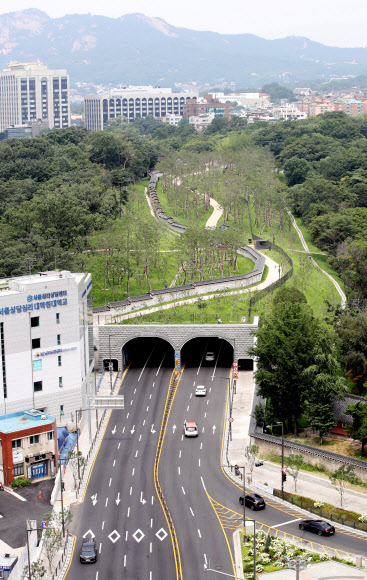 서울시가 일제가 갈라놓은 창경궁과 종묘를 90년 만에 다시 연결하는 ‘창경궁-종묘 연결 역사복원사업’을 완료했다고 20일 밝혔다.  창경궁과 종묘를 단절시켰던 율곡로를 지하화하고 그 위에 축구장보다 넓은 녹지(약 8000㎡)를 만들어 끊어졌던 녹지축을 이었다. 사진은 ‘창경궁·종묘 연결 역사복원사업’ 모습. 2022.7.20  공동취재단