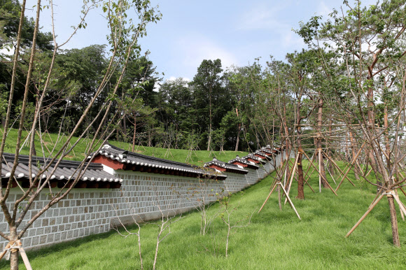 서울시가 창경궁과 종묘를 90년 만에 다시 연결하는 ‘창경궁·종묘 연결 역사복원사업’을 완료했다고 20일 밝혔다.  담장을 사이에 두고 숲으로 이어져 있던 종묘와 창경궁은 일제가 1932년 ‘종묘관통도로’(율곡로)를 개설하면서 단절됐다. 사진은 복원된 궁궐담장. 2022.7.20  서울시 제공