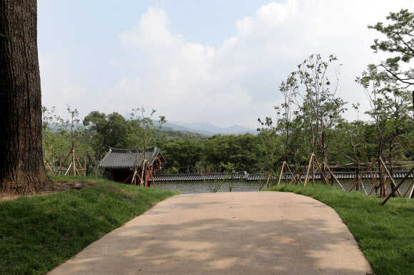 서울시가 창경궁과 종묘를 90년 만에 다시 연결하는 ‘창경궁·종묘 연결 역사복원사업’을 완료했다고 20일 밝혔다.  담장을 사이에 두고 숲으로 이어져 있던 종묘와 창경궁은 일제가 1932년 ‘종묘관통도로’(율곡로)를 개설하면서 단절됐다. 사진은 종묘에서 바라본 북신문. 2022.7.20  서울시 제공