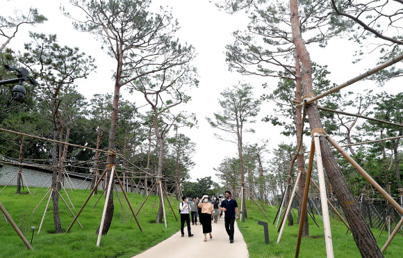 90년 만에 다시 연결된 창경궁?종묘