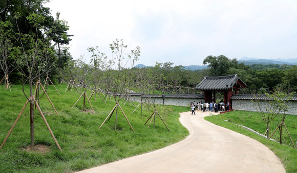 20일 서울 종로구 와룡동 율곡로 터널 상부에서 ‘창경궁·종묘 연결 역사복원사업’ 프레스 투어가 열린 가운데 취재진들이 북신문에서 종묘로 이어지는 길을 보고 있다. 서울시는 창경궁과 종묘를 단절시켰던 율곡로를 지하화하고 그 위에 축구장보다 넓은 녹지(약 8000㎡)를 만들어 끊어졌던 녹지축을 이었다. 2022.7.20  공동취재단