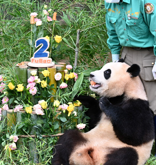 20일 오전 경기도 용인