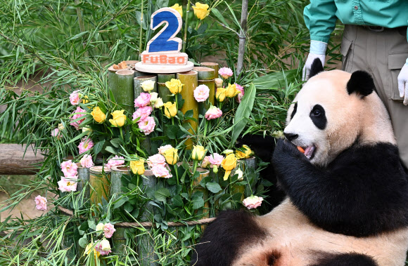 20일 오전 경기도 용인