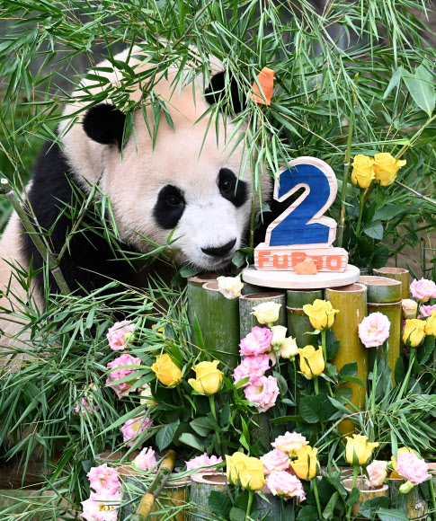 0일 오전 경기도 용인