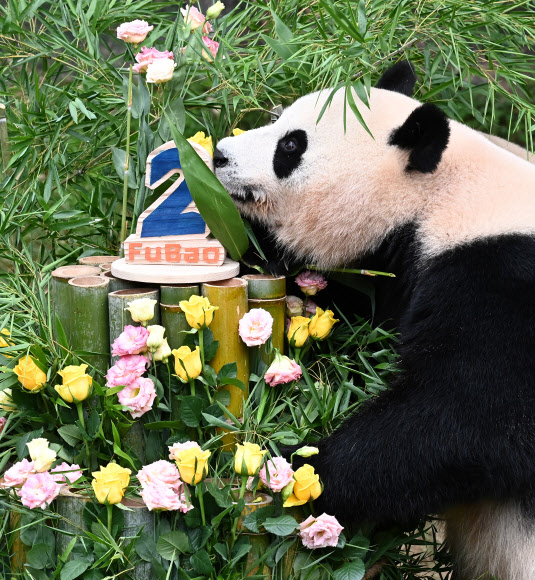 20일 오전 경기도 용인