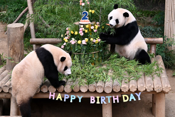 20일 오전 경기도 용인