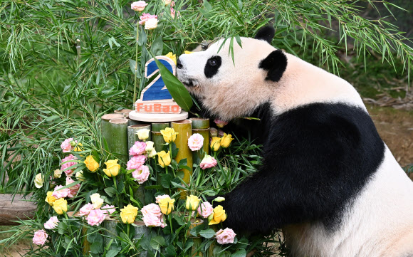 20일 오전 경기도 용인