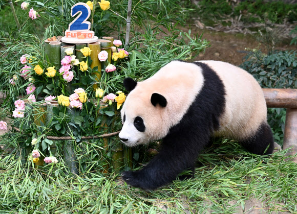 20일 오전 경기도 용인