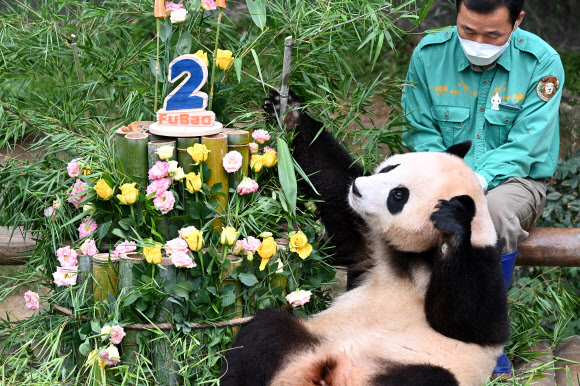 20일 오전 경기도 용인