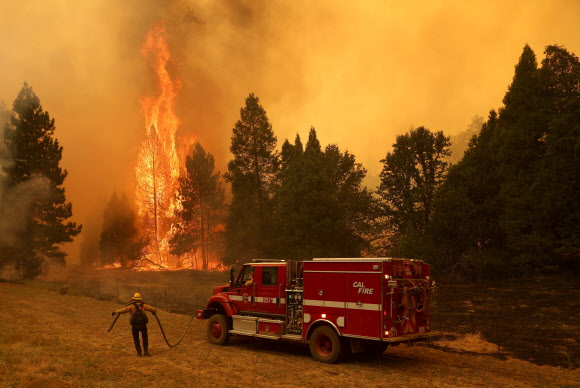 미국 캘리포니아주 산림화재보호국(캘 파이어) 대원이 23일(이하 현지시간)  요세미티 국립공원 바깥 매리포사 근처에 일어난 산불 ‘오크 화재’를 진화할 엄두를 내지 못하고 있다. 매리포사 AFP 연합뉴스 