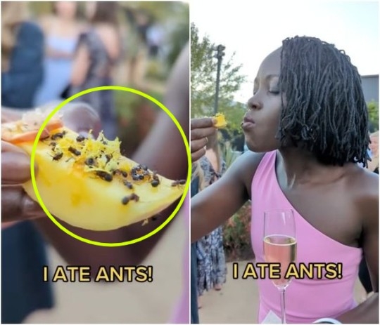 영화배우 루피타 뇽오가 개미가 뿌려진 과일을 먹고 “맛있다”고 감탄하는 영상. 루피타 뇽오 SNS 캡처