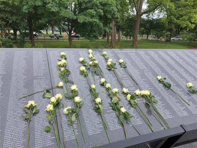 ‘추모의 벽’ 장미꽃