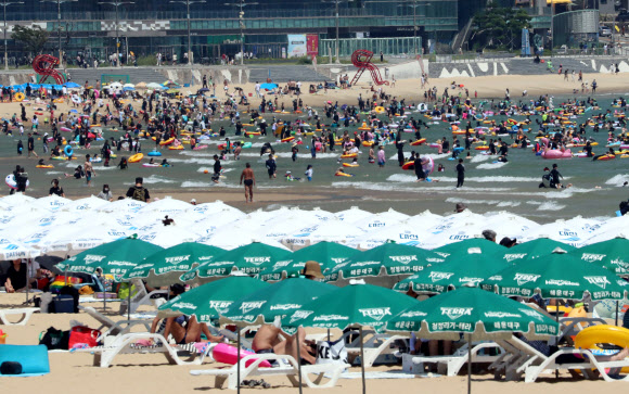 여름 피서 절정기를 맞은 29일 오후 부산 해운대구 해운대해수욕장을 찾은 시민과 관광객들이 물놀이를 즐기고 있다. 2022.07.29. 뉴시스