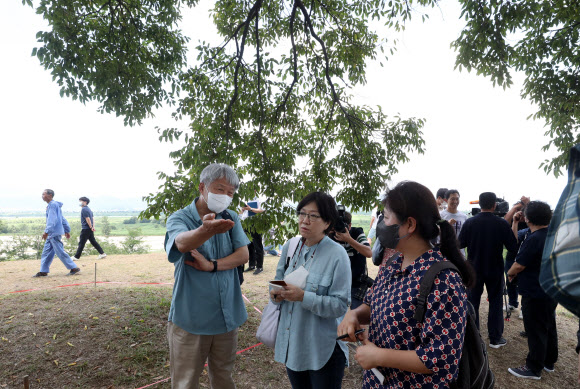 ‘우영우 팽나무’ 지정조사 나선 문화재청