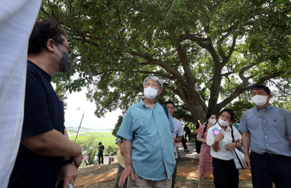 문화재청, ‘우영우 팽나무’ 지정조사