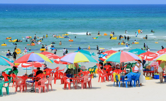 여름 제주 바다에서 물놀이