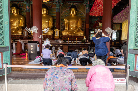 ‘삼복’ 더위지만, 소망 담은 채 기도