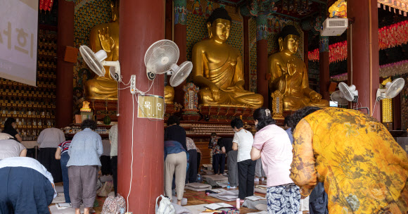 ‘삼복’ 더위지만, 소망 담은 채 기도