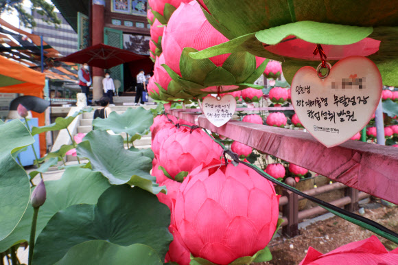 수능 D-102, 학업성취 발원 연등