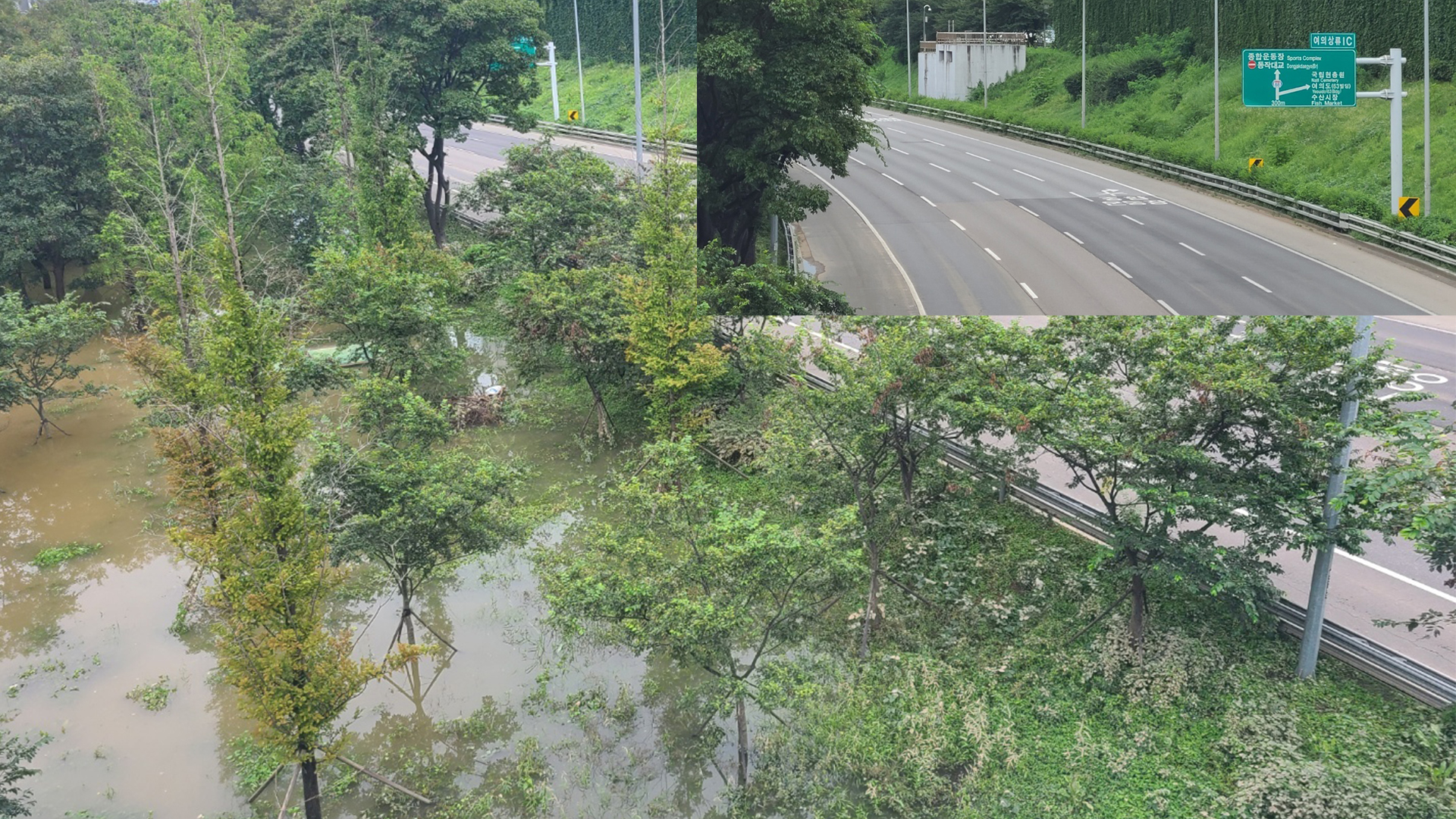 이달 내린 폭우로 잠긴 공원과 그 옆의 통제된 도로 모습이다. 강민혜 기자