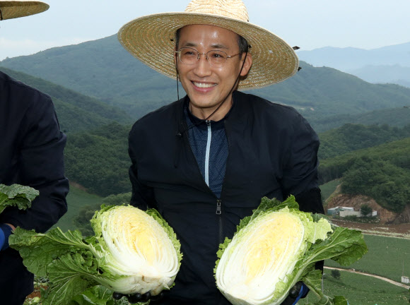 추경호 경제부총리 겸 기획재정부 장관이 13일 강원 강릉시 왕산면 안반데기에서 출하가 진행 중인 고랭지 배추 작황을 점검하고 있다. 2022.8.13  연합뉴스