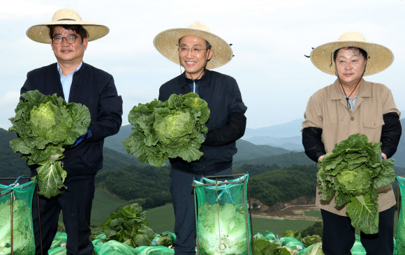 추경호(가운데) 경제부총리 겸 기획재정부 장관이 13일 강원 강릉시 왕산면 안반데기에서 출하가 진행 중인 고랭지 배추 작황을 점검하고 있다. 2022.8.13  연합뉴스