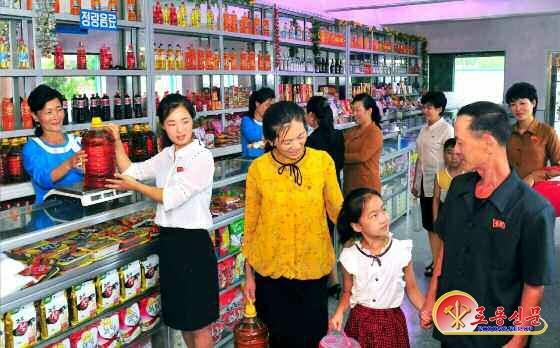 해바라기 재배로 덕 본 북한 산골군…“기름도 생산”