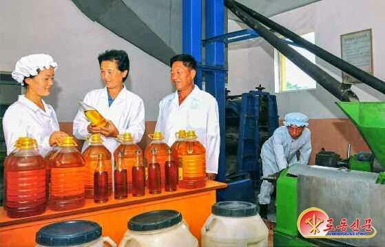 ‘해바라기’로 기름 생산하는 북한…“백 가지 덕 주는 보물”