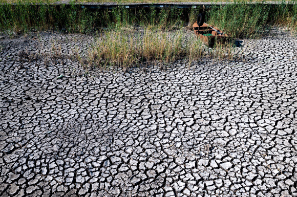 17일(현지시간) 헝가리 파코즈드 근처 벨렌체 호수가 폭염과 가뭄으로 인해 메마른 바닥을 드러내고 있다. EPA 연합뉴스