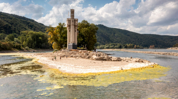 17일(현지시간) 독일 빙엔의 메우제투름(생쥐탑) 주변을 흐르는 라인강 수위가 오랜 가뭄으로 걸어서 건널 수 있을 만큼 낮아졌다.  AFP 연합뉴스