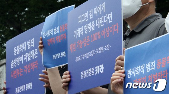 경북 포항에서 길고양이를 잔혹하게 죽인 사건과 관련 동물보호단체회원들이 24일 포항지원 앞에서 실형을 촉구하며 피켓시위를 하고 있다. 뉴스1