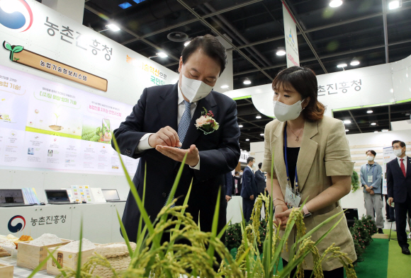 윤석열 대통령이 24일 서울 서초구 aT센터에서 열린 ‘2022 A FARM SHOW(에이팜쇼)-창농·귀농 고향사랑 박람회’에서 농촌진흥청 부스를 찾아 가루용 쌀 바로미2에 대한 설명을 듣고 있다. 2022. 8. 24 박지환 기자