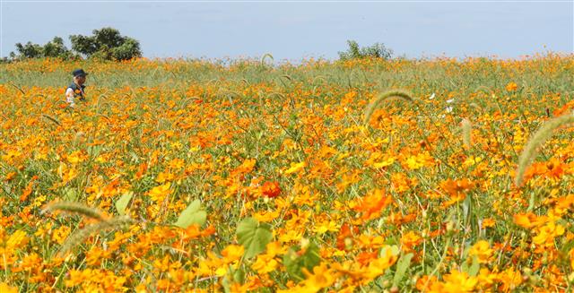 ‘가을이 온다’