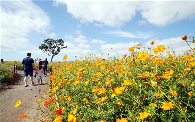 ‘가을이 성큼’