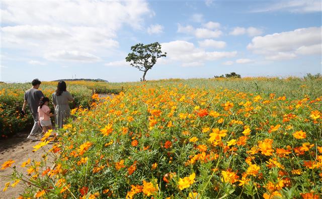 ‘가을이 코앞에’